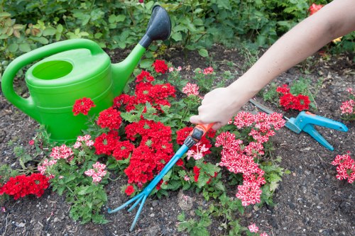 A close-up outdoor garden scene featuring a personâ€™s hand using a small garden fork to tend to a flower bed with vibrant red and pink flowering plants. The flower bed is bordered by rich, dark soil and surrounded by lush green foliage. To the left, there is a bright green plastic watering can placed on the ground, partially obstructed by the flowering plants. In the background, dense green hedges and a variety of leafy shrubs create a natural backdrop, indicating a well-maintained garden space typical of a residential outdoor area in Harrow or nearby in northwest London. The weather appears sunny and bright, with natural light illuminating the scene and highlighting the colours of the flowers and foliage, supporting garden care activities such as planting, weeding, and general outdoor maintenance, which Lawn Mowing Harrow offers as part of their gardening services in the local area.