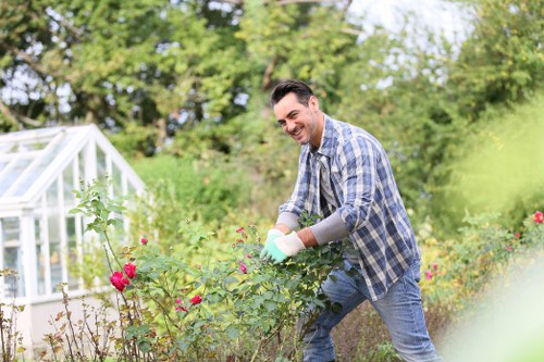 Professional lawn mowing service by Lawn Mowing Harrow team