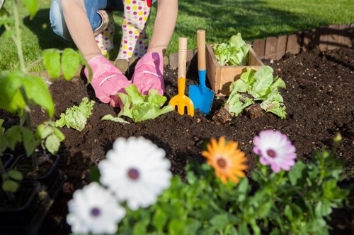 The image shows a person working in a well-maintained garden bed within a residential outdoor space, likely in Harrow or nearby in northwest London. Their hands, wearing pink gardening gloves, are tending to young lettuce and other leafy greens planted in dark, fertile soil that appears freshly turned. Surrounding the garden bed are the vibrant blooms of white, orange, and purple flowers in the foreground, adding colour contrast to the lush green foliage. Wooden garden borders and small wooden planting markers are visible, indicating organized vegetable and flower planting areas. In the background, a neatly trimmed lawn extends with bright sunlight illuminating the garden, suggesting a clear, pleasant day suitable for outdoor gardening. The scene emphasizes a tidy, well-kept outdoor environment suitable for gardening services such as lawn care, planting, and garden maintenance offered by Lawn Mowing Harrow, situated in the Harrow postcode area, serving local homeowners with professional gardening expertise.