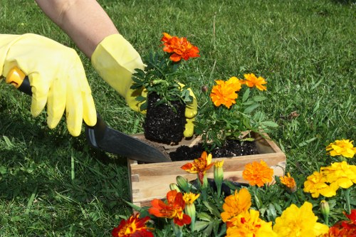 Skilled professionals from Lawn Mowing Harrow maintaining a lush lawn