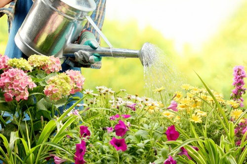 Harrow aerating soil in a well-maintained lawn
