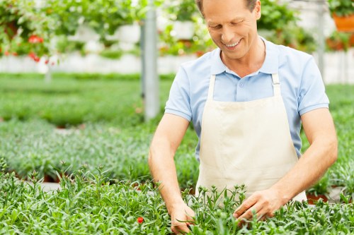 Seasonal lawn mowing tips for Harrow residents