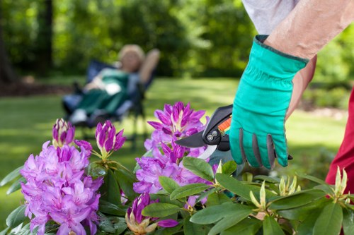 Eco-friendly lawn mowing practices in Harrow