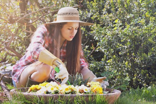 Harrow garden landscape design and upkeep