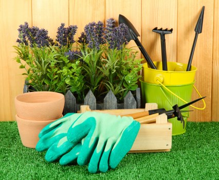 High-quality lawn trimming by Lawn Mowing Harrow experts