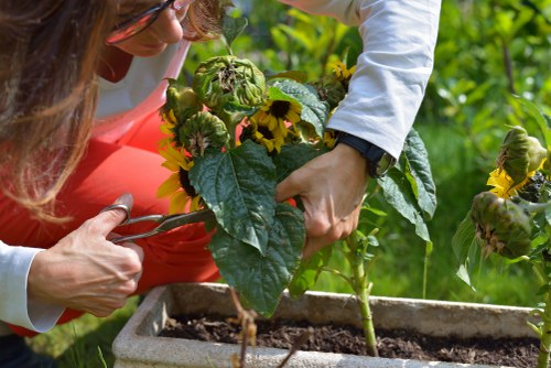 Eco-friendly lawn care practices at Lawn Mowing Harrow