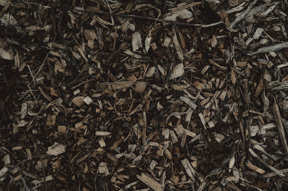 A person wearing black trousers and sneakers is using a green leaf rake with a long wooden handle to gather garden debris, including leaves, small twigs, and soil, into a pile on a gravel surface. The